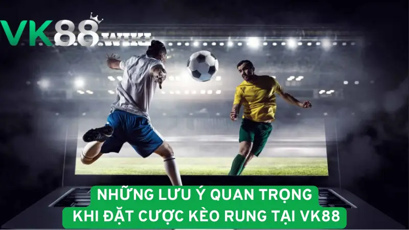 Những lưu ý quan trọng khi đặt cược kèo rung tại Vk88